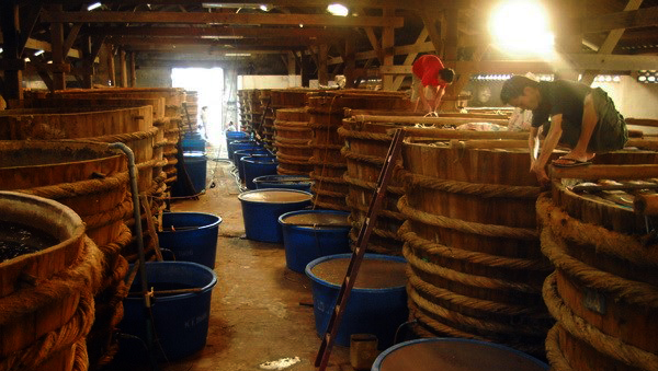 Colaboran Vietnam, Laos, Camboya y Myanmar en propiedad intelectual